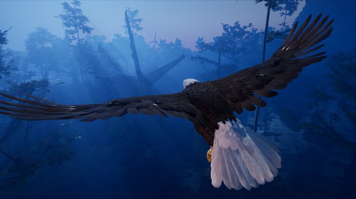 远离：生存系列